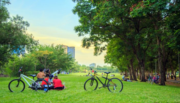 Couple,Bicycle,On,The,Lawn,With,Asian,People,Are,Relaxing